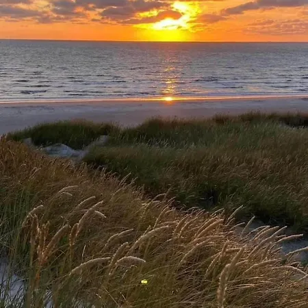 Nyaraló Light In The Dunes Near Denmark's Coast *