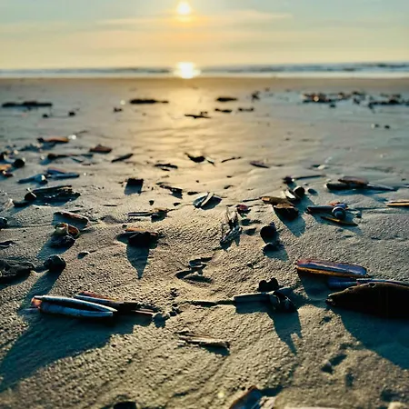 Nyaraló Light In The Dunes Near Denmark's Coast