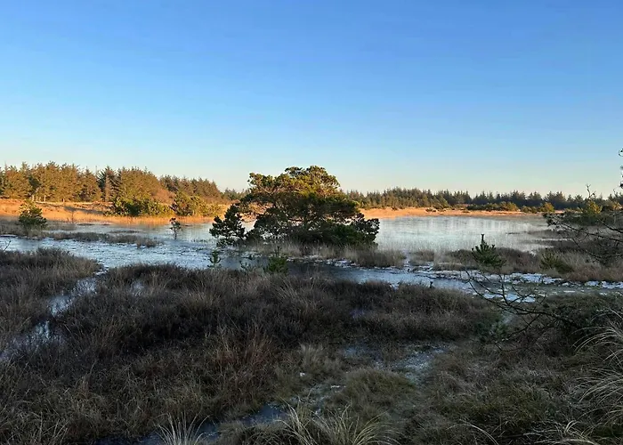 Light In The Dunes Near Denmark's Coast *