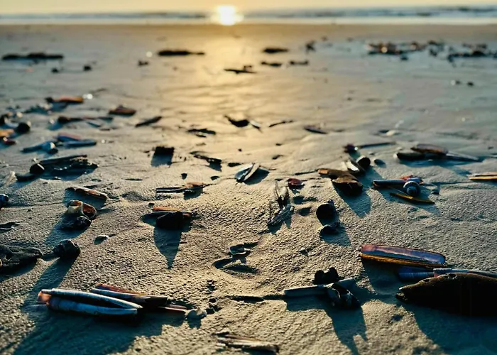 Vakantiehuis Light In The Dunes Near Denmark's Coast